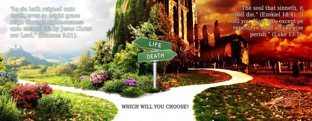 Life or Death image