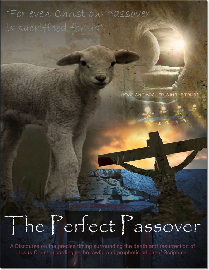 The Perfect Passover - Book Cover